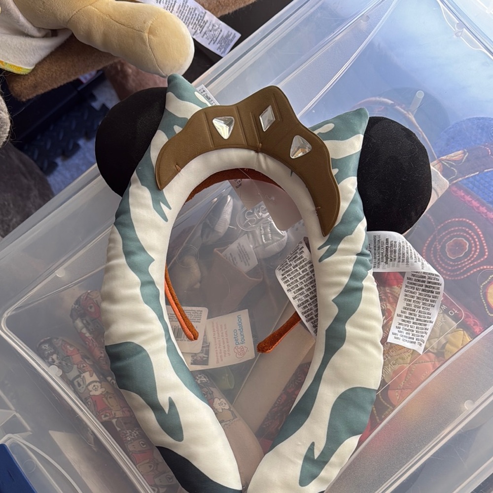 Ashoka ears